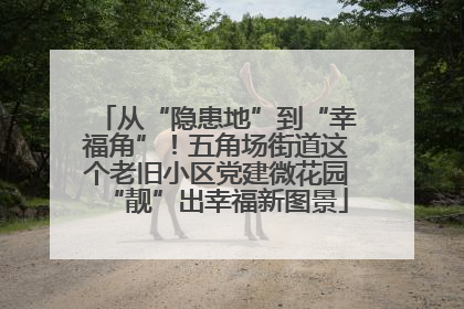从“隐患地”到“幸福角”！五角场街道这个老旧小区党建微花园“靓”出幸福新图景