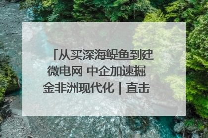 从买深海鳀鱼到建微电网 中企加速掘金非洲现代化｜直击中非经贸博览会