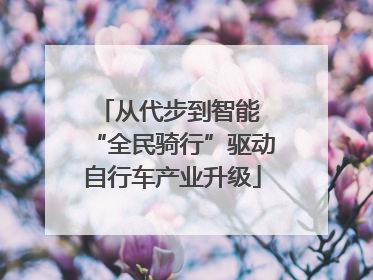 从代步到智能 “全民骑行”驱动自行车产业升级