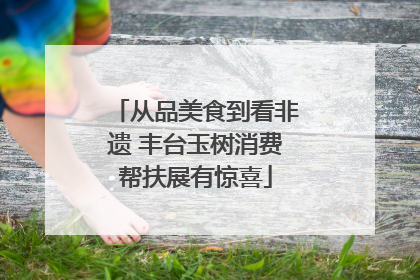 从品美食到看非遗 丰台玉树消费帮扶展有惊喜