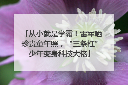 从小就是学霸！雷军晒珍贵童年照，“三条杠”少年变身科技大佬
