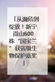 从濒危到绽放！新宁崀山600株“国宝兰”获省级生物保护嘉奖