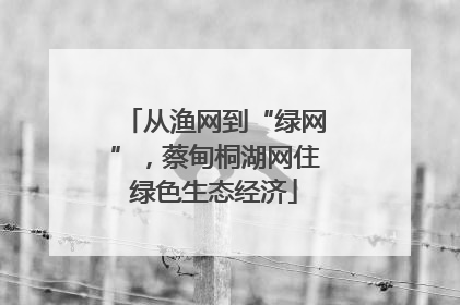 从渔网到“绿网”，蔡甸桐湖网住绿色生态经济