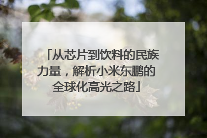 从芯片到饮料的民族力量，解析小米东鹏的全球化高光之路