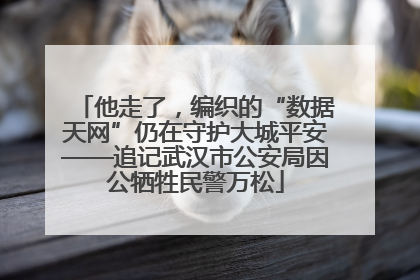 他走了，编织的“数据天网”仍在守护大城平安——追记武汉市公安局因公牺牲民警万松