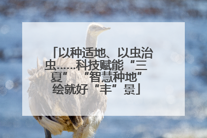 以种适地、以虫治虫……科技赋能“三夏” “智慧种地”绘就好“丰”景