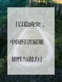 以稳应变,中国经济展现韧性与潜力