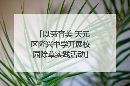 以劳育美 天元区隆兴中学开展校园除草实践活动