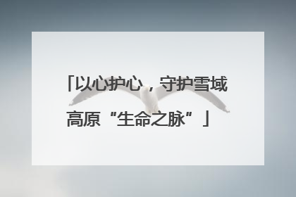 以心护心，守护雪域高原“生命之脉”