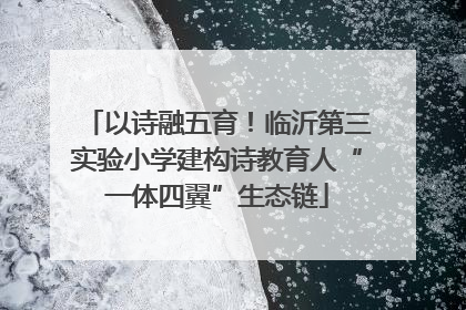 以诗融五育！临沂第三实验小学建构诗教育人“一体四翼”生态链