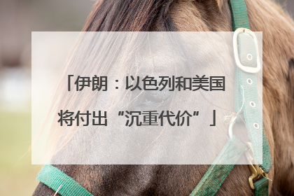 伊朗：以色列和美国将付出“沉重代价”