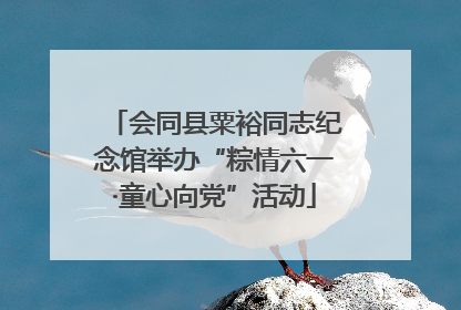 会同县粟裕同志纪念馆举办“粽情六一·童心向党”活动