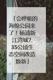 会呼吸的海绵公园来了！杨浦新江湾城7.35公顷生态空间改造焕新