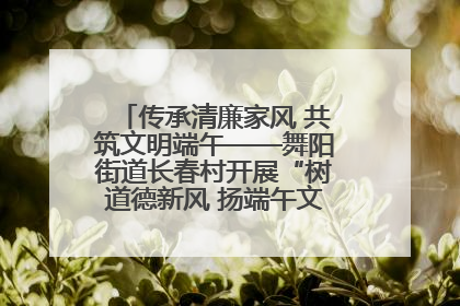 传承清廉家风 共筑文明端午——舞阳街道长春村开展“树道德新风 扬端午文化”主题活动
