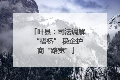 叶县：司法调解“搭桥” 稳企护商“路宽”
