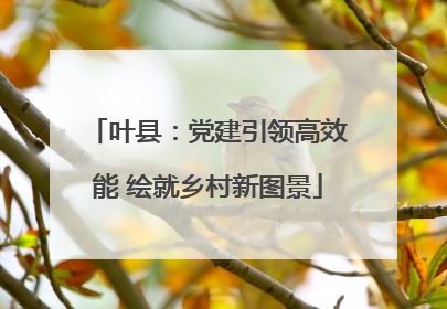 叶县：党建引领高效能 绘就乡村新图景