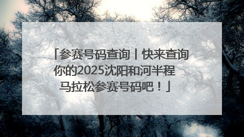参赛号码查询丨快来查询你的2025沈阳和河半程马拉松参赛号码吧！