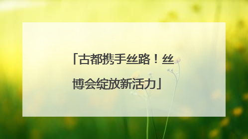 古都携手丝路！丝博会绽放新活力