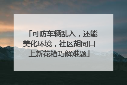 可防车辆乱入，还能美化环境，社区胡同口上新花箱巧解难题