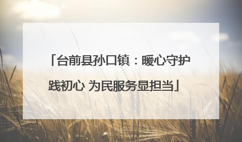 台前县孙口镇：暖心守护践初心 为民服务显担当