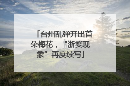 台州乱弹开出首朵梅花，“浙婺现象”再度续写
