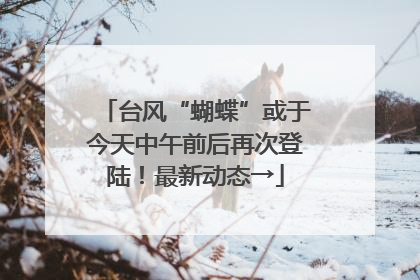 台风“蝴蝶”或于今天中午前后再次登陆！最新动态→