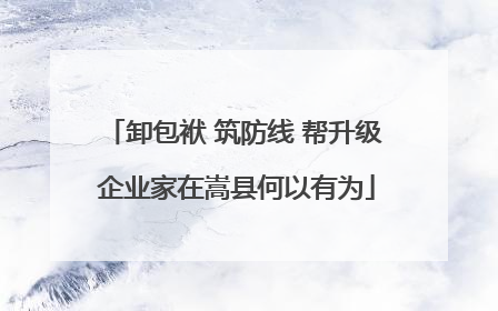 卸包袱 筑防线 帮升级 企业家在嵩县何以有为