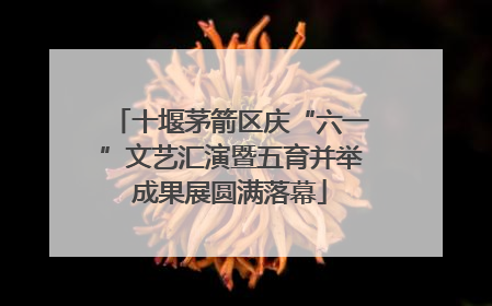 十堰茅箭区庆“六一”文艺汇演暨五育并举成果展圆满落幕