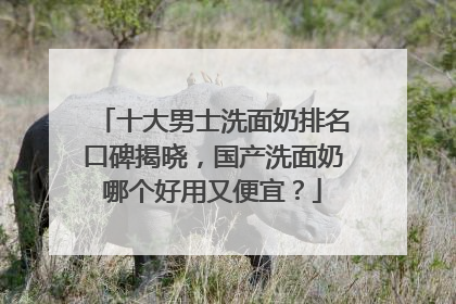 十大男士洗面奶排名口碑揭晓，国产洗面奶哪个好用又便宜？