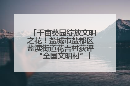 千亩葵园绽放文明之花！盐城市盐都区盐渎街道花吉村获评“全国文明村”