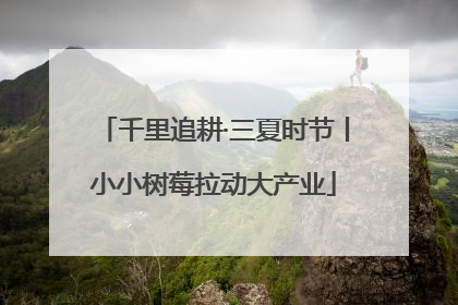 千里追耕·三夏时节丨小小树莓拉动大产业