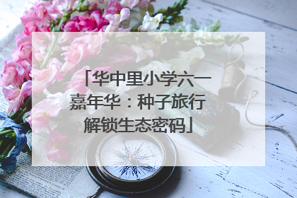 华中里小学六一嘉年华：种子旅行解锁生态密码