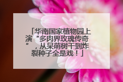 华南国家植物园上演“多肉界玫瑰传奇”，从呆萌树干到炸裂种子全是戏！