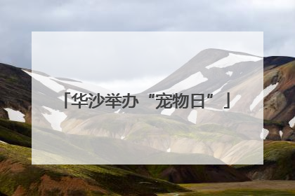 华沙举办“宠物日”