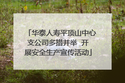 华泰人寿平顶山中心支公司多措并举  开展安全生产宣传活动