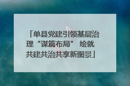 单县党建引领基层治理“谋篇布局” 绘就共建共治共享新图景