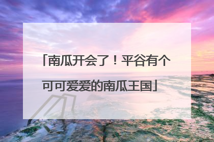 南瓜开会了！平谷有个可可爱爱的南瓜王国