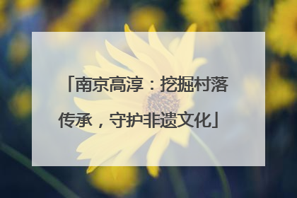 南京高淳：挖掘村落传承，守护非遗文化