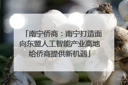 南宁侨商：南宁打造面向东盟人工智能产业高地给侨商提供新机遇