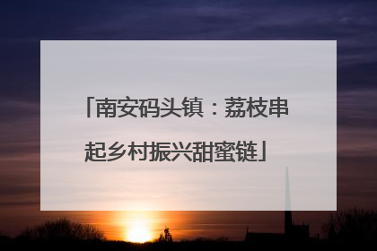 南安码头镇：荔枝串起乡村振兴甜蜜链