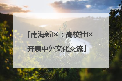 南海新区：高校社区开展中外文化交流