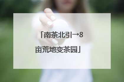 南茶北引→8亩荒地变茶园