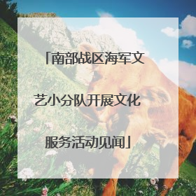 南部战区海军文艺小分队开展文化服务活动见闻
