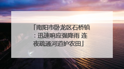 南阳市卧龙区石桥镇：迅速响应强降雨 连夜疏通河道护农田