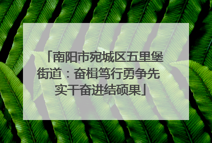 南阳市宛城区五里堡街道：奋楫笃行勇争先 实干奋进结硕果
