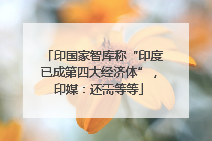 印国家智库称“印度已成第四大经济体”，印媒：还需等等