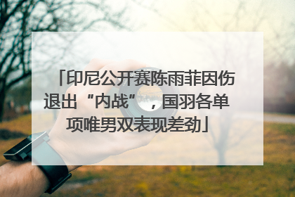 印尼公开赛陈雨菲因伤退出“内战”，国羽各单项唯男双表现差劲