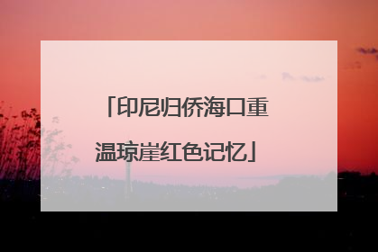印尼归侨海口重温琼崖红色记忆