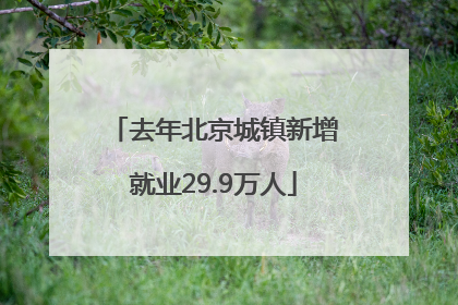 去年北京城镇新增就业29.9万人