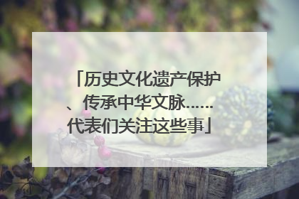 历史文化遗产保护、传承中华文脉……代表们关注这些事